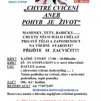 Pravidelné cvičení metodou Daflex System® v Olomouci Pravidelné cvičení metodou Daflex System® v Olomouci