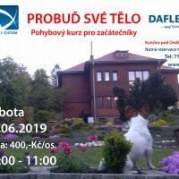 Pohybový kurz pro začátečníky - "Probuď své tělo" Pohybový kurz pro začátečníky - "Probuď své tělo"